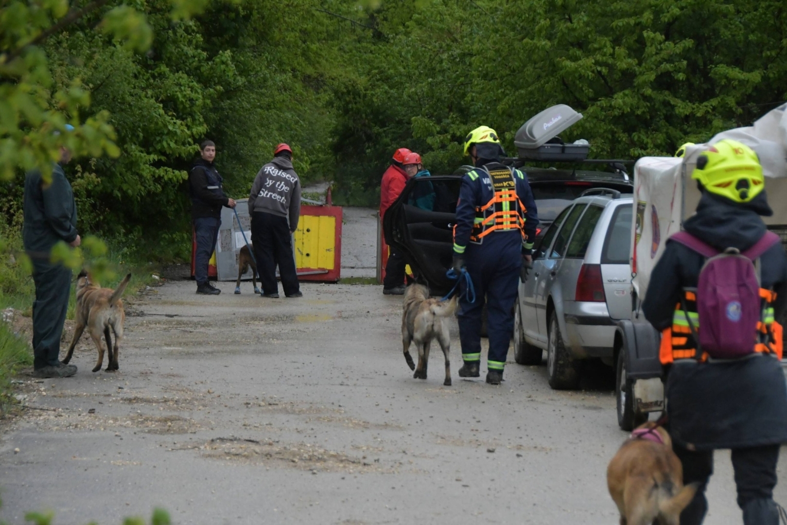 Vatrogasno društvo Vogošća intenziviralo obuku potražnih pasa i vodiča - slika 6