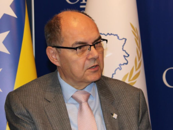 Mujanović: Schmidt u zavjeri došao, tako i odlazi