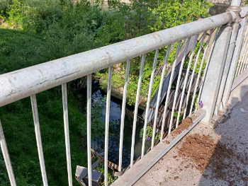 Vandali uništili cvijeće na Drvenom mostu u Zenici, šteta veća od 6.000 KM