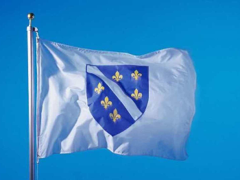 Historija svjetskog simbola: Problem nisu ljiljani nego Bosna koja iza njih stoji