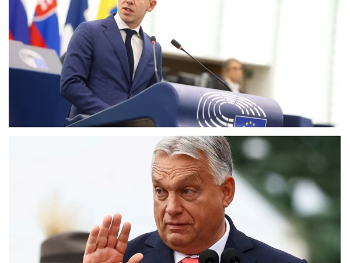 Magyar: Ne dam otpremninu Orbanu!