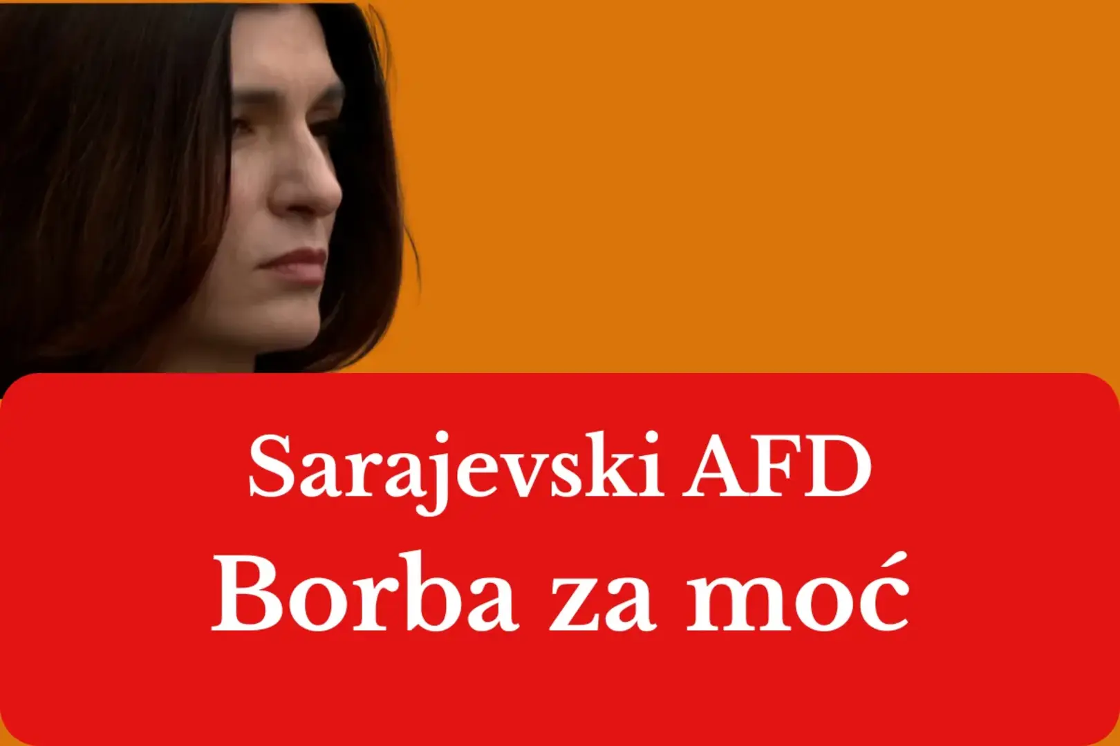 Sarajevski AfD Sabine Ćudić ne bira sredstva u borbi za moć, zato mora biti zabranjen! - slika 1