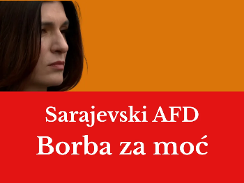 Sarajevski AfD Sabine Ćudić ne bira sredstva u borbi za moć, zato mora biti zabranjen!