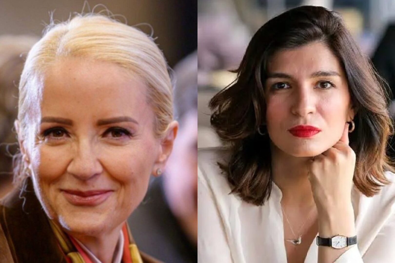 „*ebem li vam hajku“: Sebija, Dušanka, Sabina, Benjamina… – hronika ženskog političko-medijskog linča