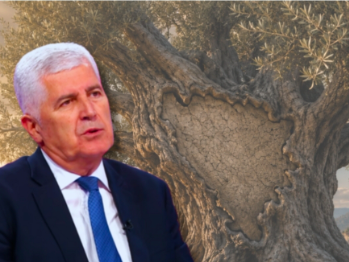 Čović poredio BiH sa maslinom: Visoki predstavnici ne znaju održavati tu kulturu