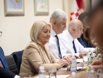 Rasprava u Čovićevom društvu: Lučića treba skloniti