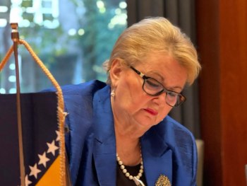 Bisera Turković: Mjesec dana ne radi biometrijski sistem u ambasadama, vlast mora odgovarati