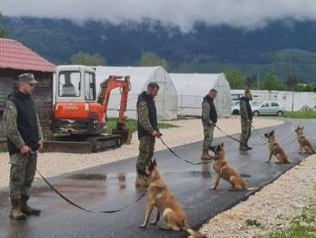 Norveška donirala Oružanim snagama BiH tri deminerska psa