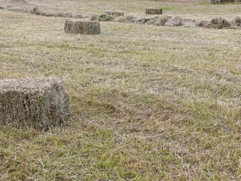 Za poljoprivredu u TK 16,5 miliona KM