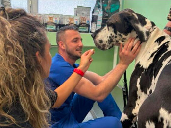 Sarajevo dobilo jedan od najmodernijih veterinarskih centara u BiH