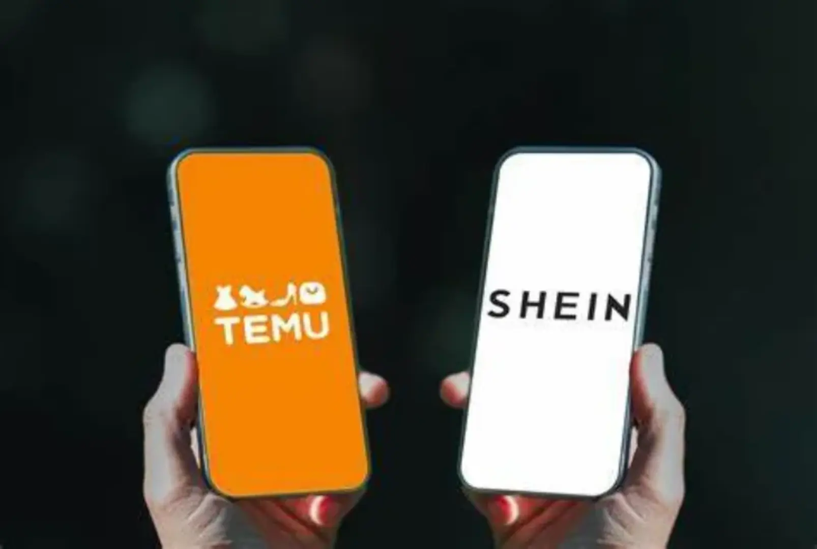 Kraj jeftine kupovine sa Temua - slika 1