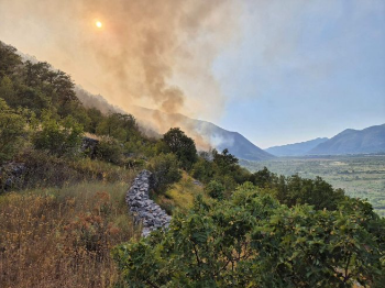Bukti požar kod Trebinja. Vatra se približava naseljima