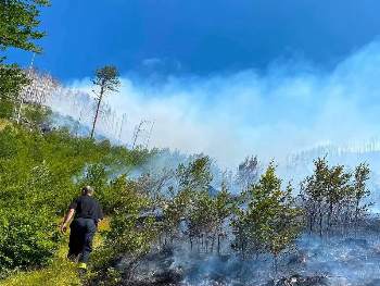 Požar kod Mostara zahvatio minsko polje, gašenje otežano zbog detonacija