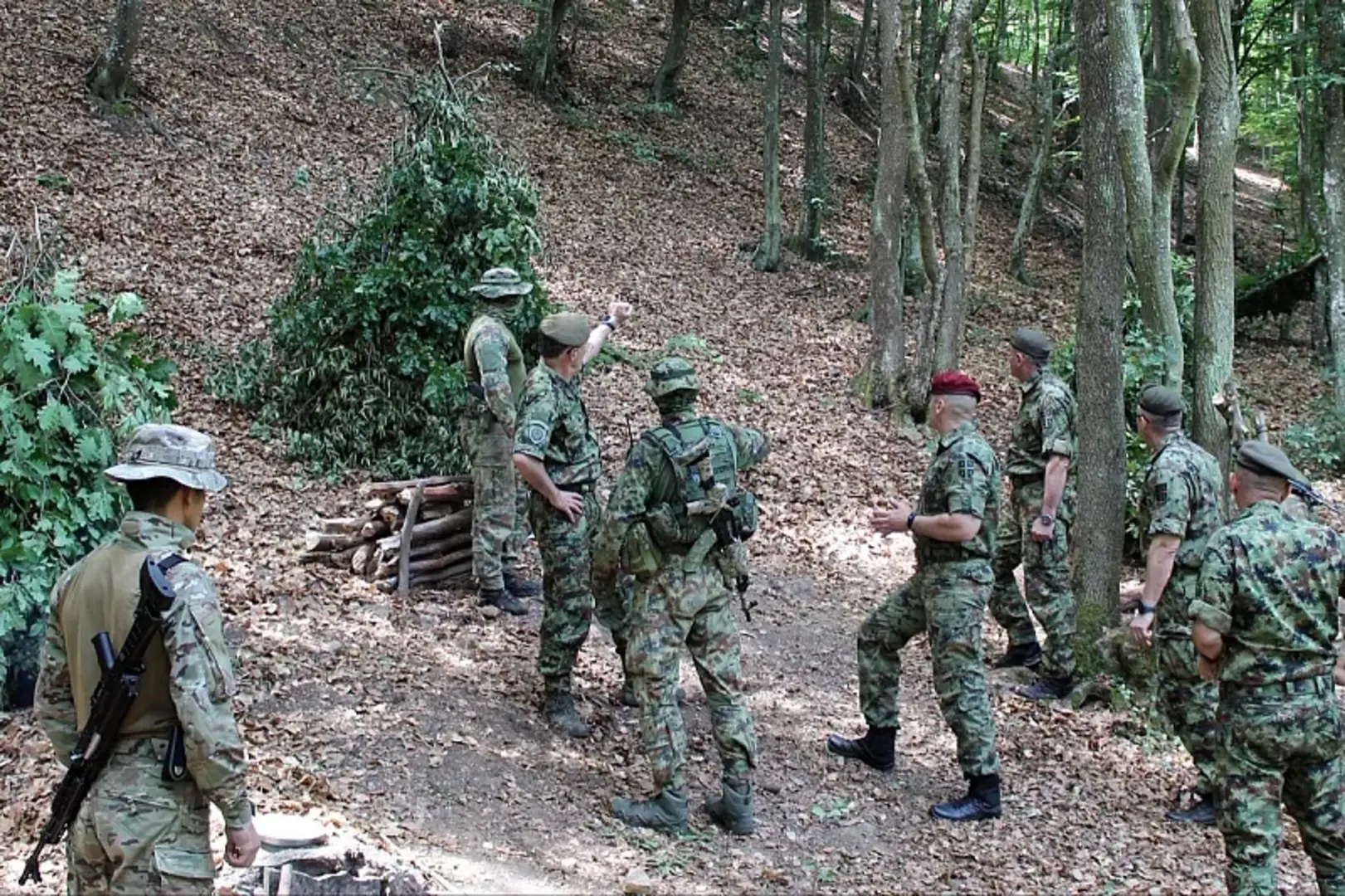 Specijalne jedinice Vojske Srbije i Azerbejdžana organizovale zajedničku trodnevnu obuku kod Niša - slika 1