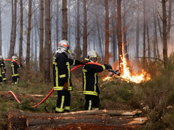 Bosna i Hercegovina ponudila pomoć Francuskoj za saniranje požara