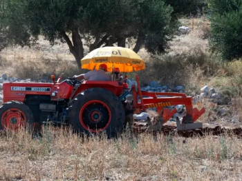 Paklene vrućine i tropske noći: Biljke pod stresom, navodnjavanje jedini spas