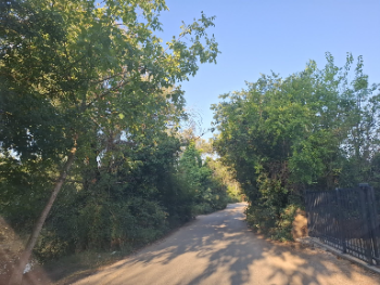 Cesta Buna – Blagaj zapuštena uprkos strateškom značaju: Tri decenije bez temeljne rekonstrukcije