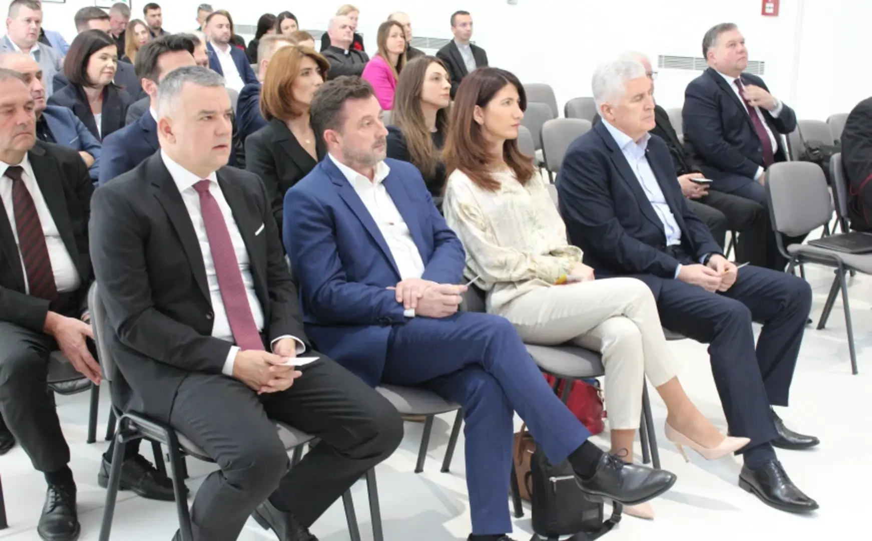 Šta povezuje HDZ, Južnu interkonekciju i lobiranje u SAD-u za "ravnopravan položaj Hrvata u BiH"? - slika 1