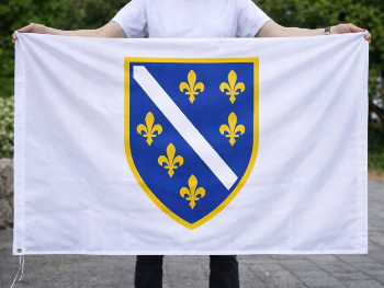 Ustavni sud Rs donio odluku o zastavi s ljiljanima