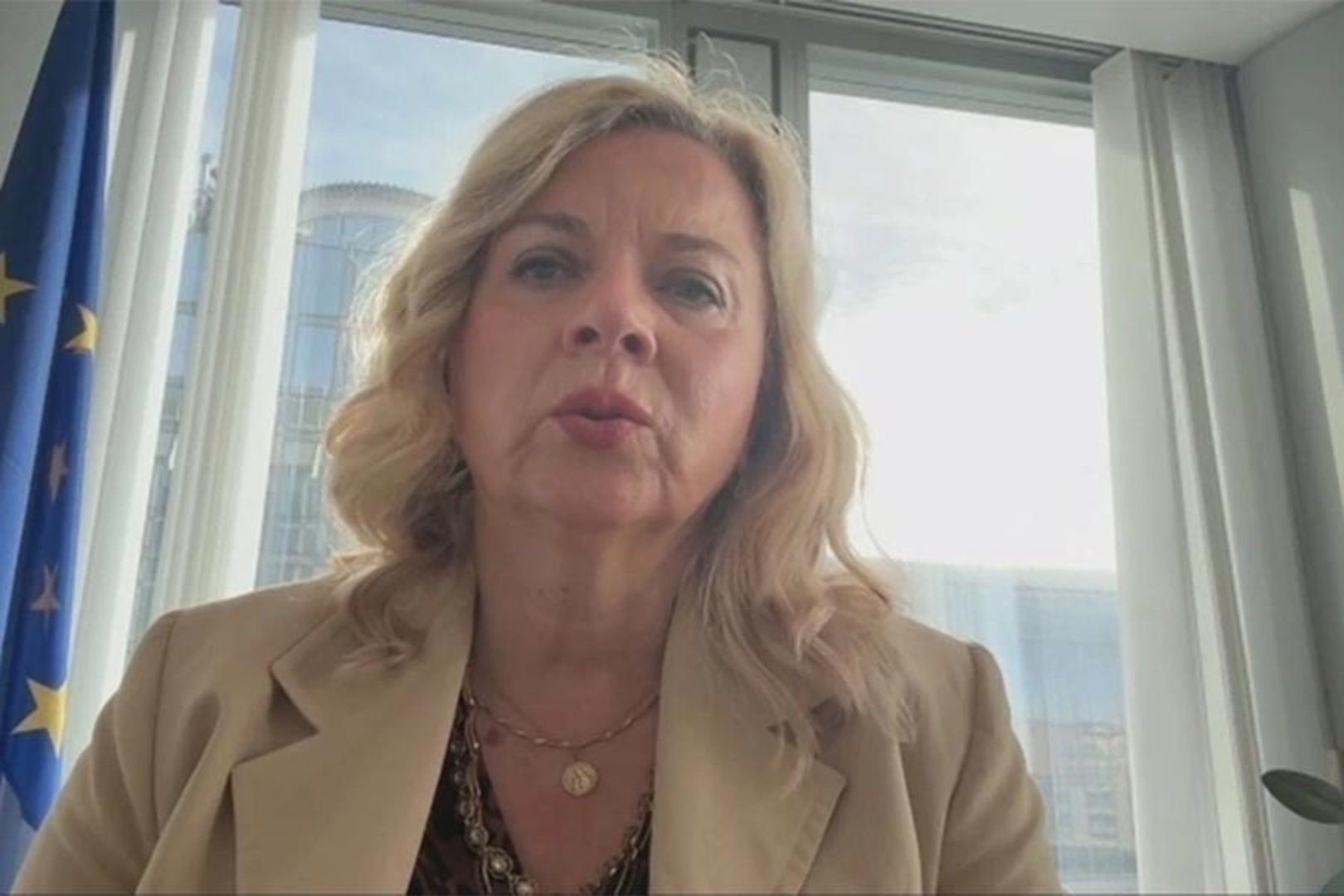 „Hrvatska desničarska zastupnica Željana Zovko i njena kohorta iz HDZ-a nikada nisu pročitali...“ - slika 1