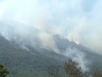 Požari širom BiH ne jenjavaju: Vatra, vjetar i podzemna žarišta otežavaju borbu