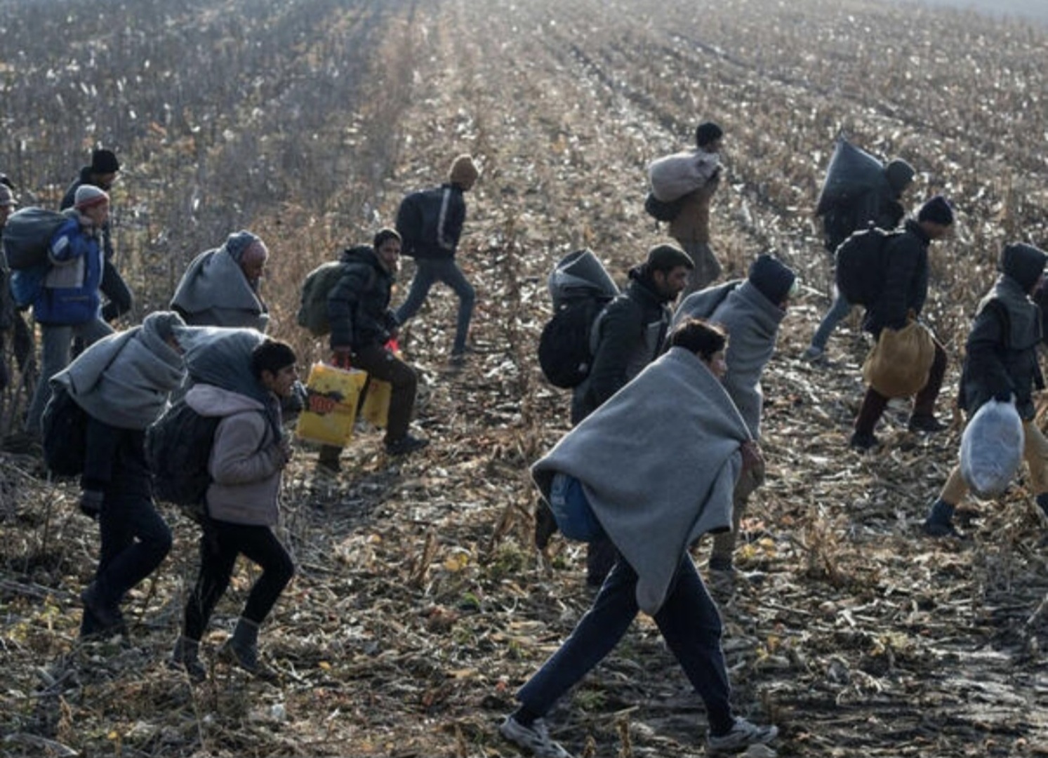 U BiH pronađeno oko 100 migranata, uglavnom iz Sirije - slika 1