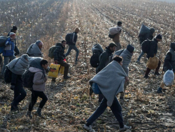 U BiH pronađeno oko 100 migranata, uglavnom iz Sirije