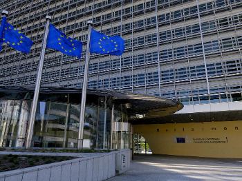 EU nakon smrti Ratka Mladića: Veličanju ratnih zločinaca i negiranju genocida nema mjesta ni u EU ni u zemljama kandidatima