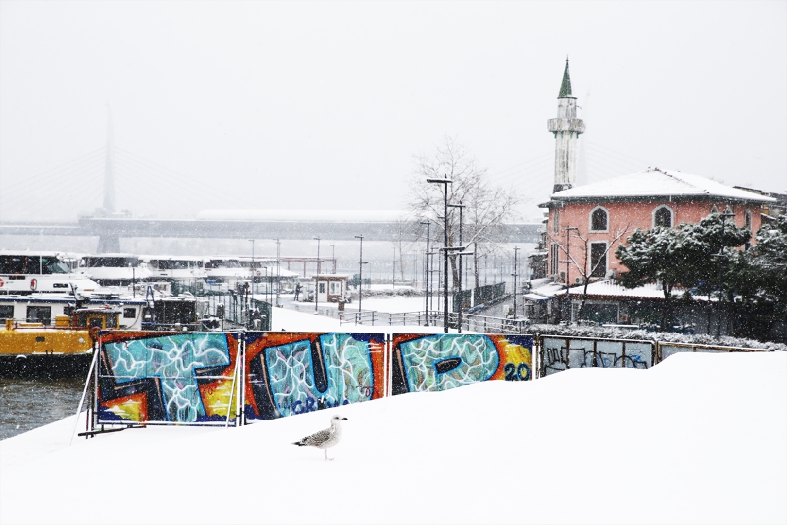 Istanbul okovao snijeg i led - slika 6