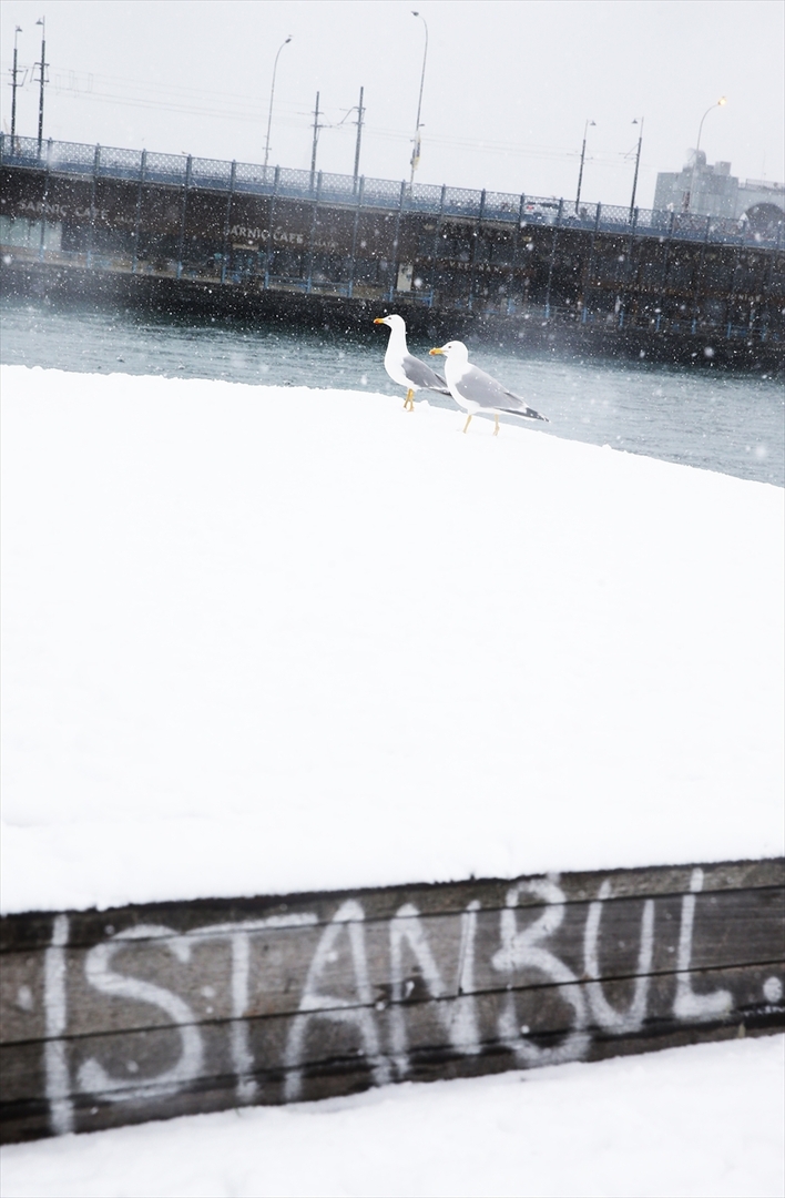 Istanbul okovao snijeg i led - slika 7