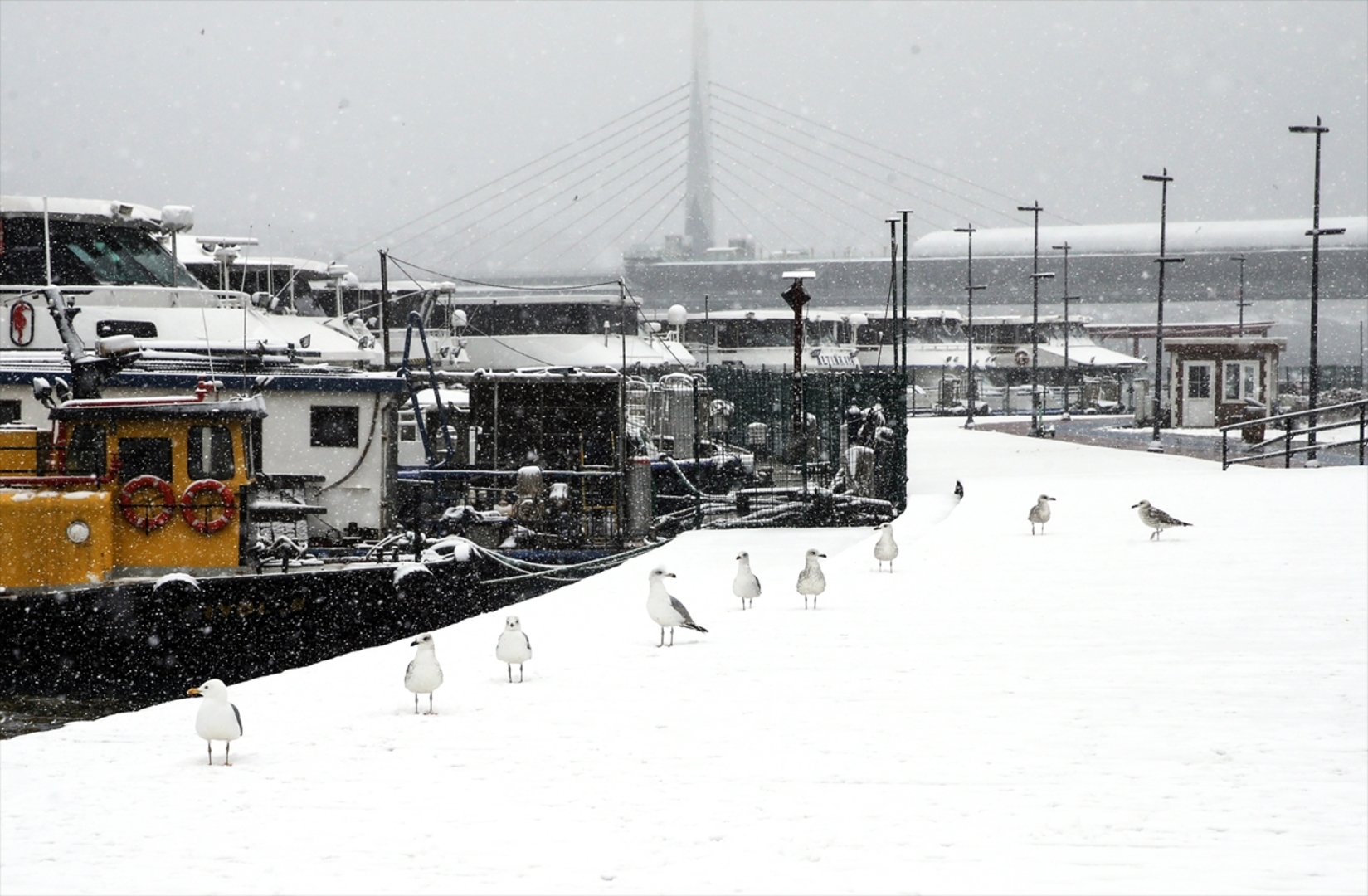Istanbul okovao snijeg i led - slika 9