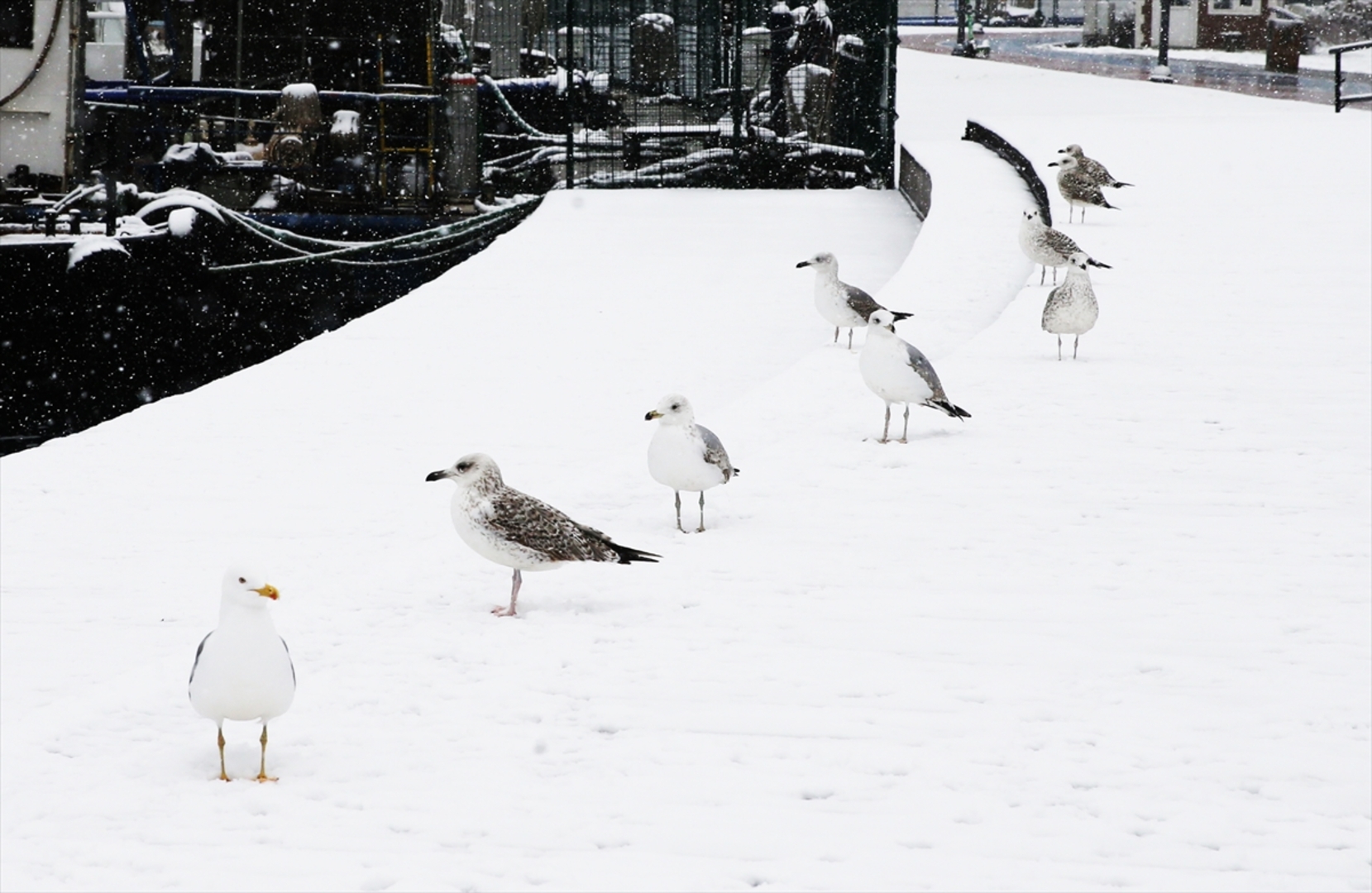 Istanbul okovao snijeg i led - slika 10