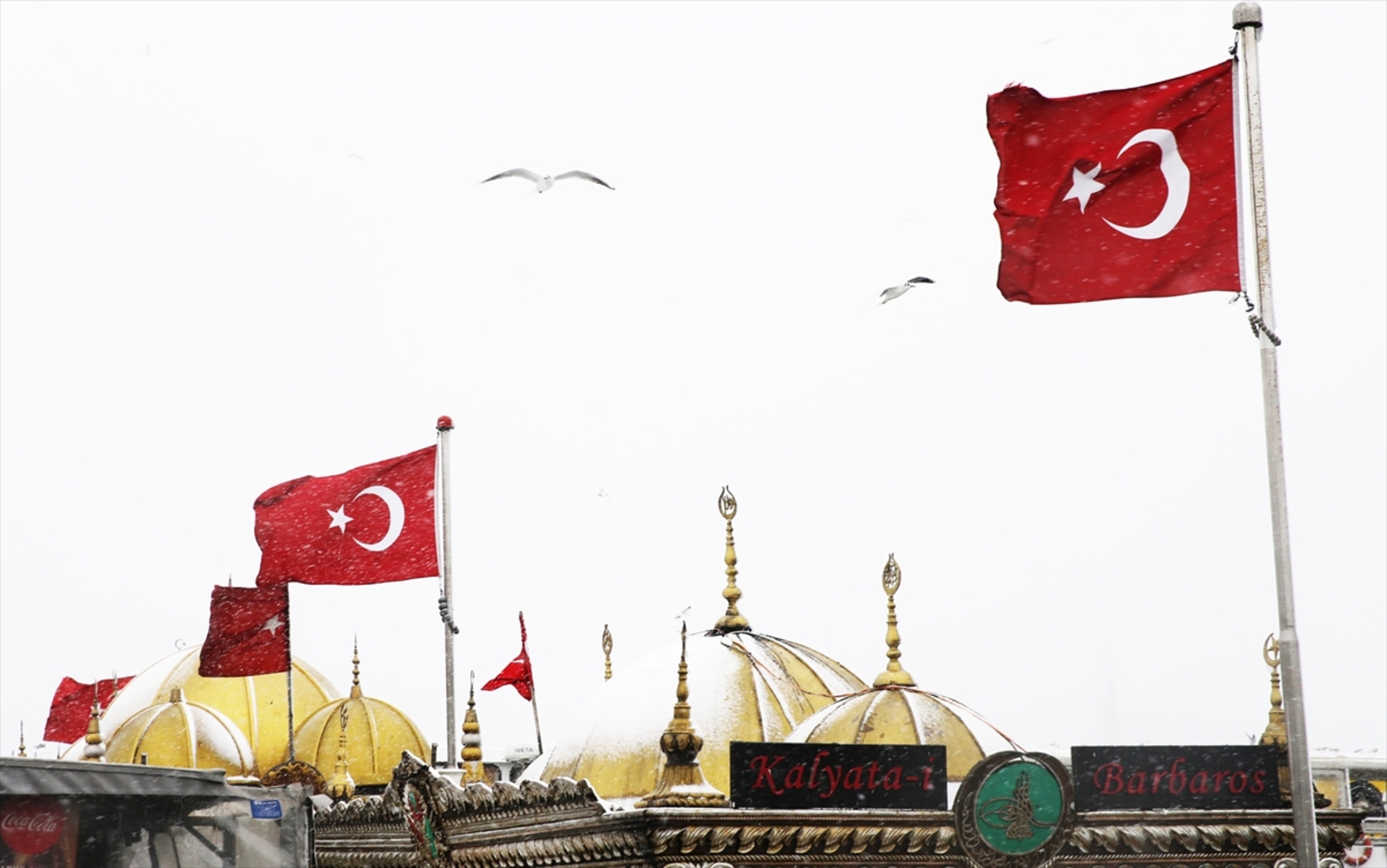 Istanbul okovao snijeg i led - slika 21