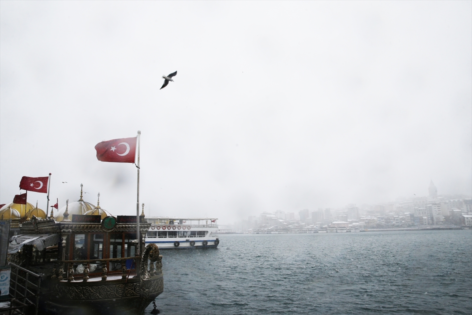 Istanbul okovao snijeg i led - slika 22