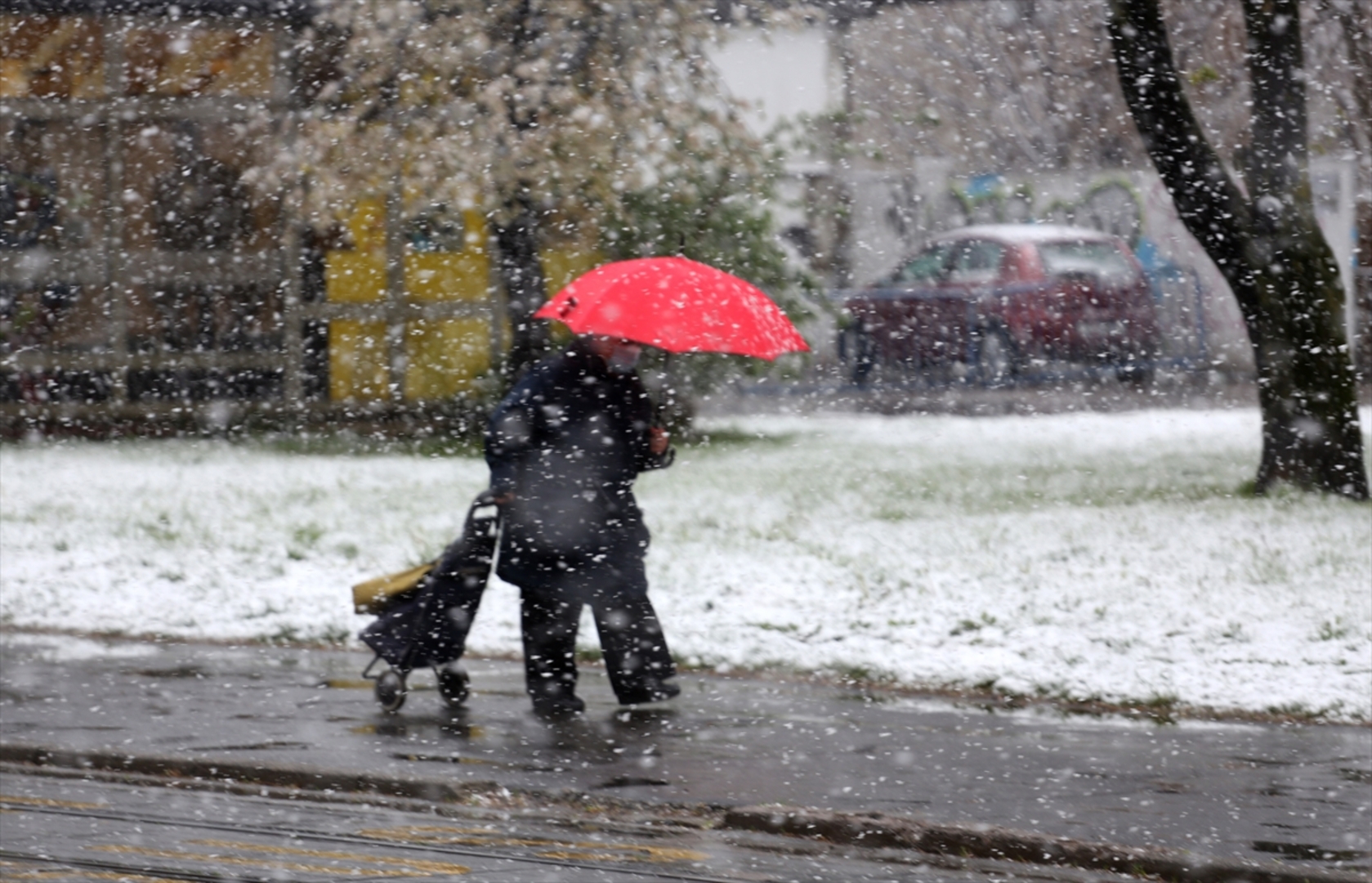 Jak snijeg u Zagrebu - slika 5