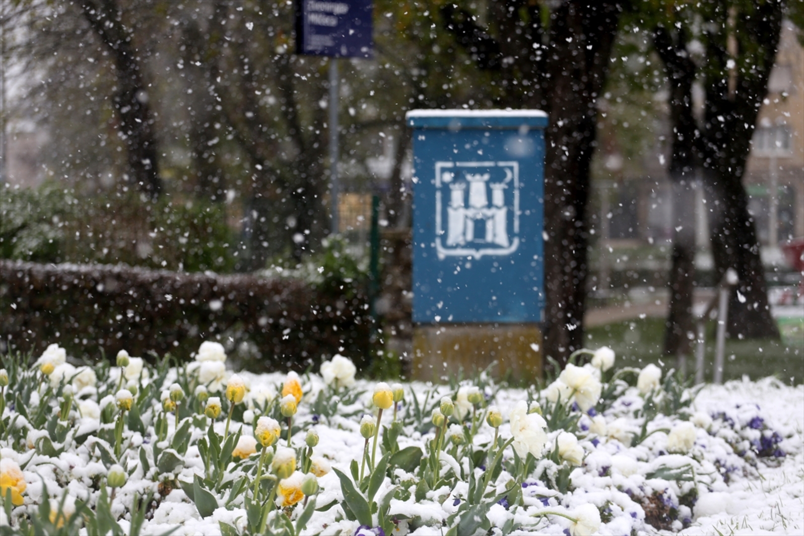 Jak snijeg u Zagrebu - slika 6