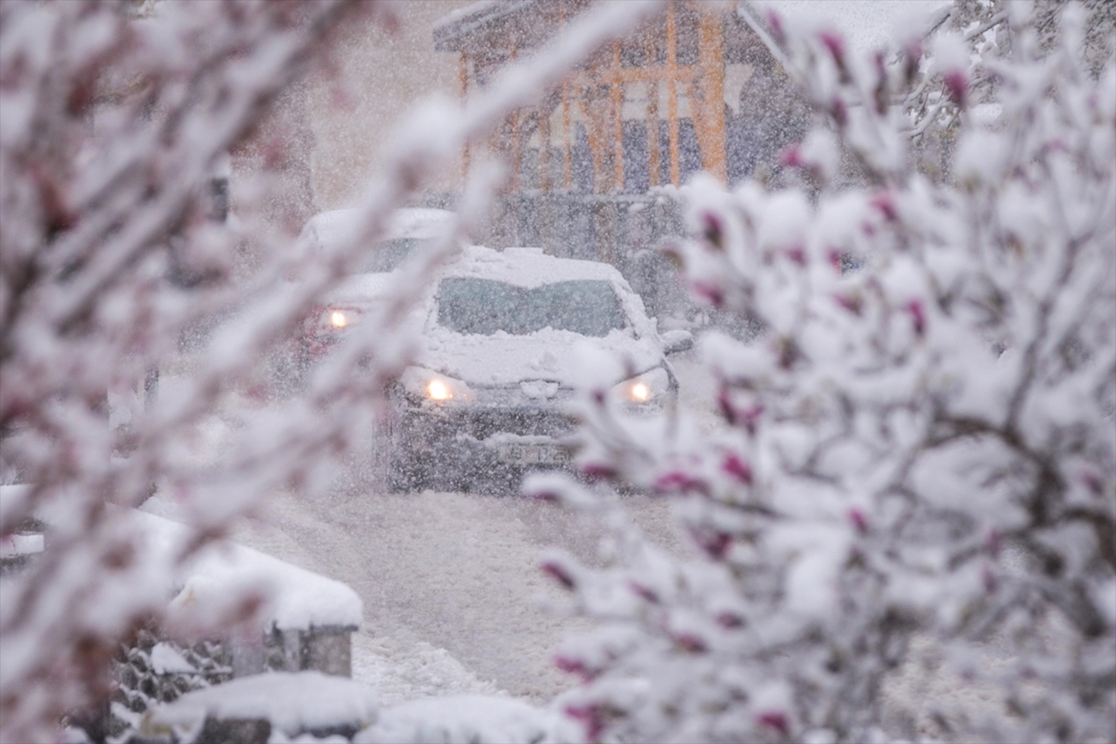 Snijeg prekrio Sloveniju - slika 6