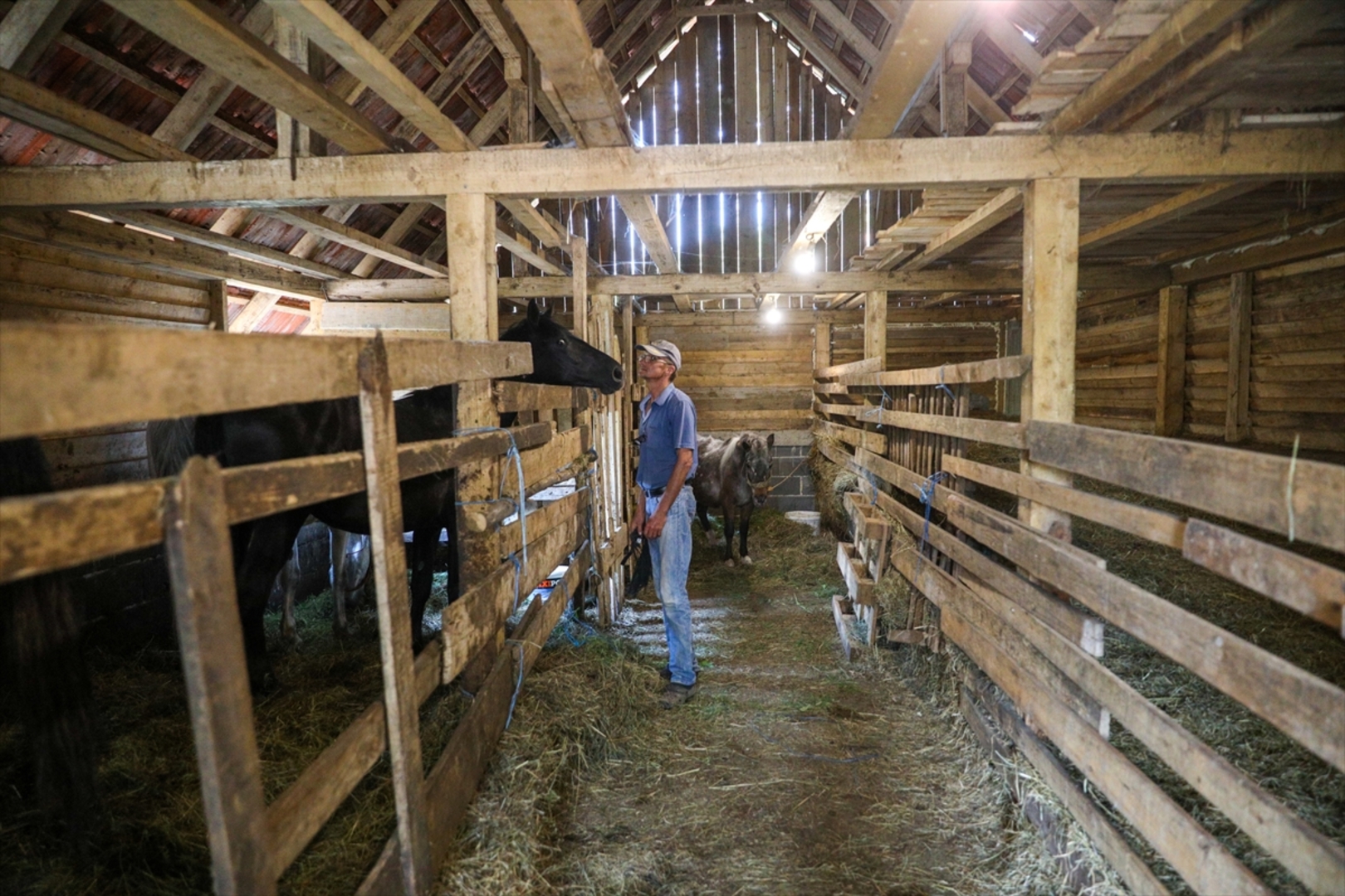 Mini zoološki vrt kod Zenice: Mjesto brige, ljubavi i pomoći životinjama i ljudima - slika 29