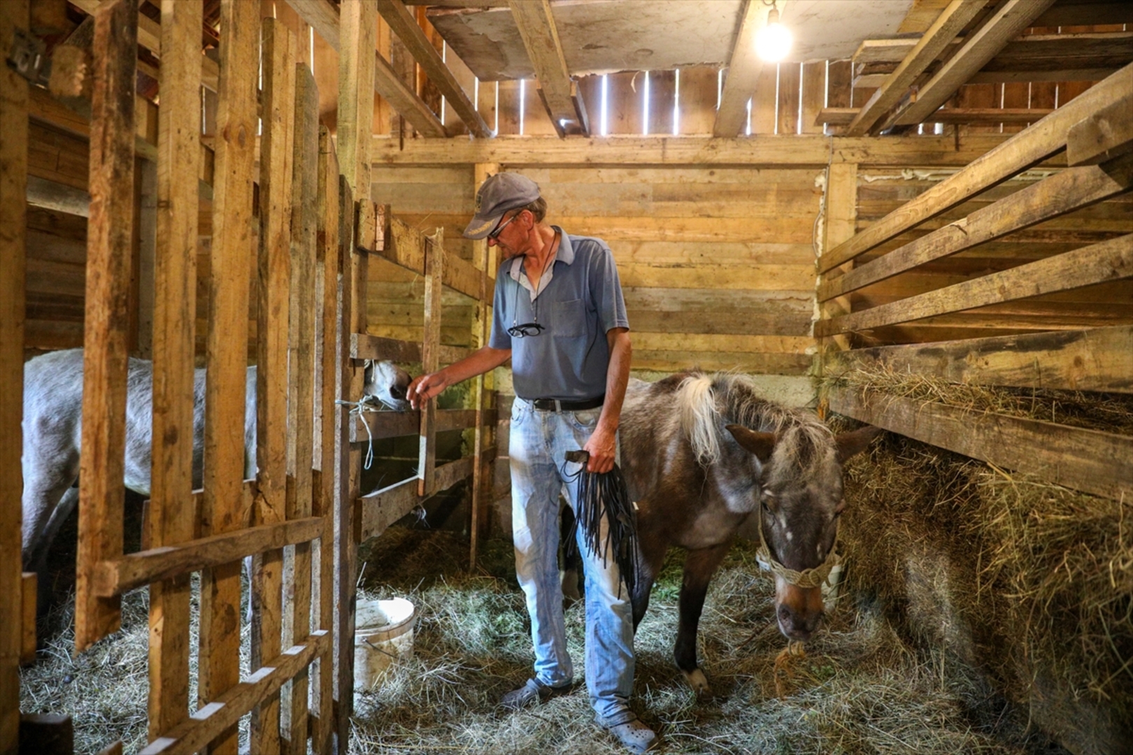 Mini zoološki vrt kod Zenice: Mjesto brige, ljubavi i pomoći životinjama i ljudima - slika 37