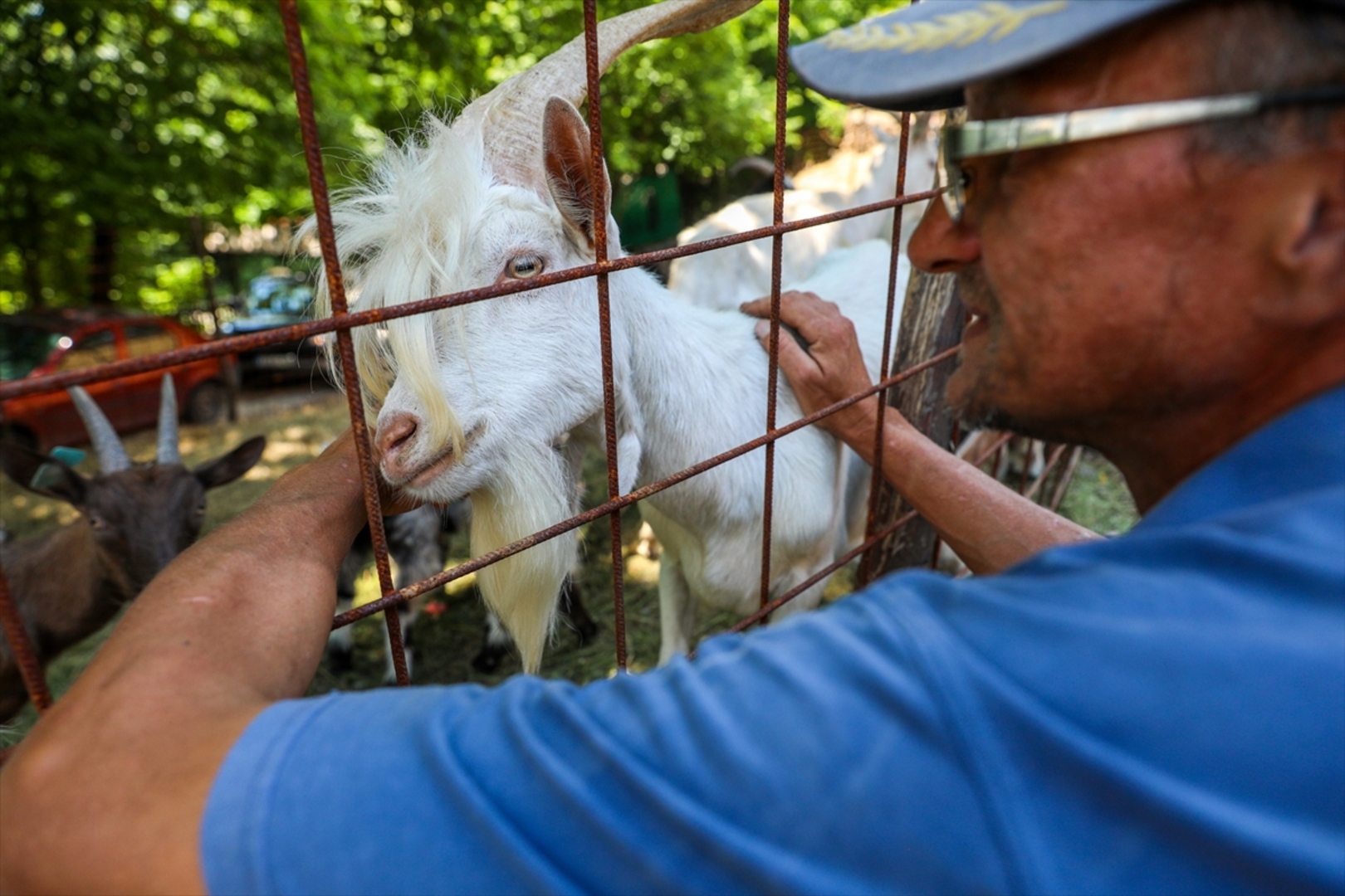 Mini zoološki vrt kod Zenice: Mjesto brige, ljubavi i pomoći životinjama i ljudima - slika 8