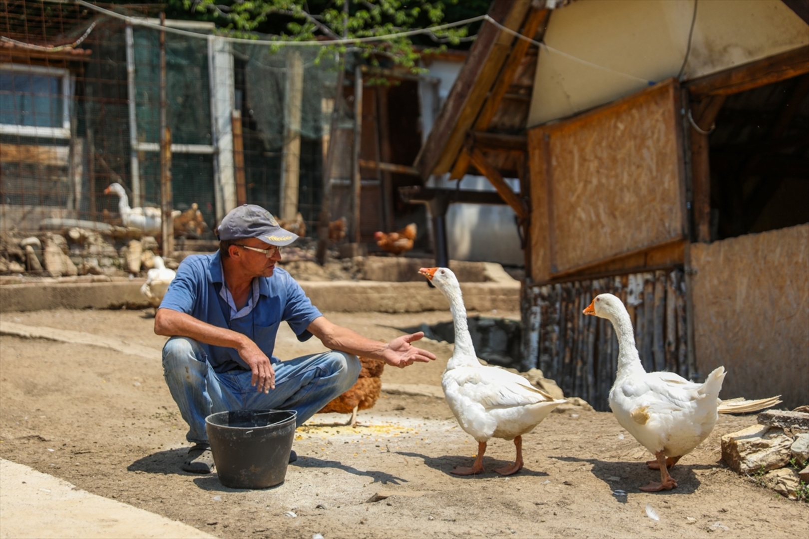 Mini zoološki vrt kod Zenice: Mjesto brige, ljubavi i pomoći životinjama i ljudima - slika 10