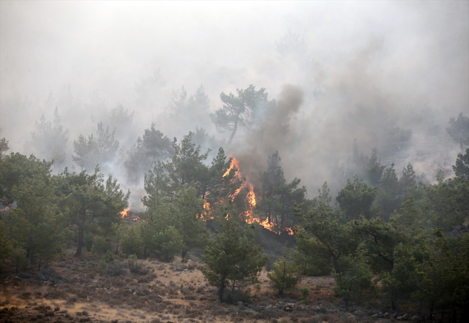 Jezive ispovijesti žrtava požara u Antaliji - slika 17