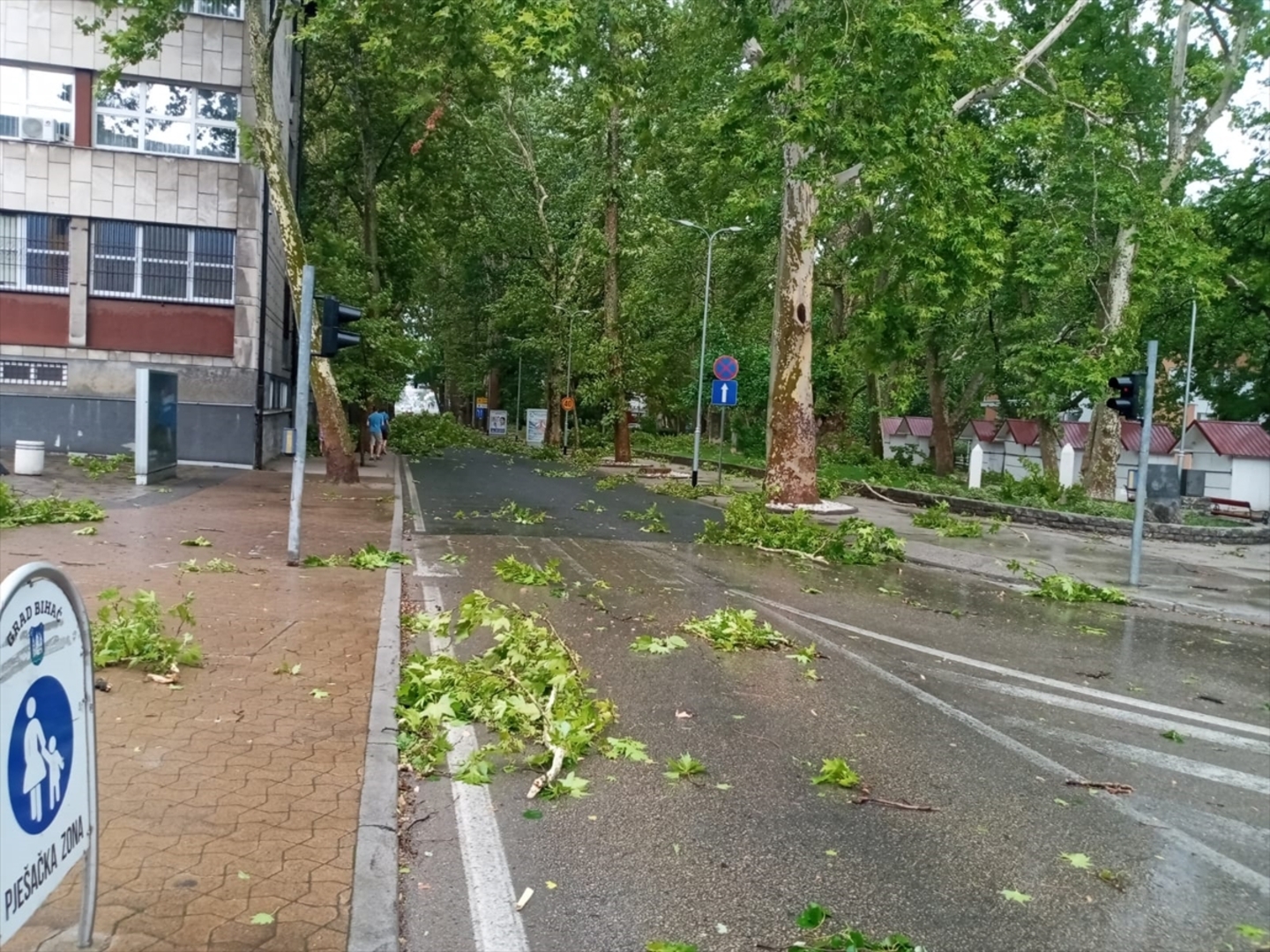 Nevrijeme pogodilo Bihać. Vjetar obarao stabla - slika 4