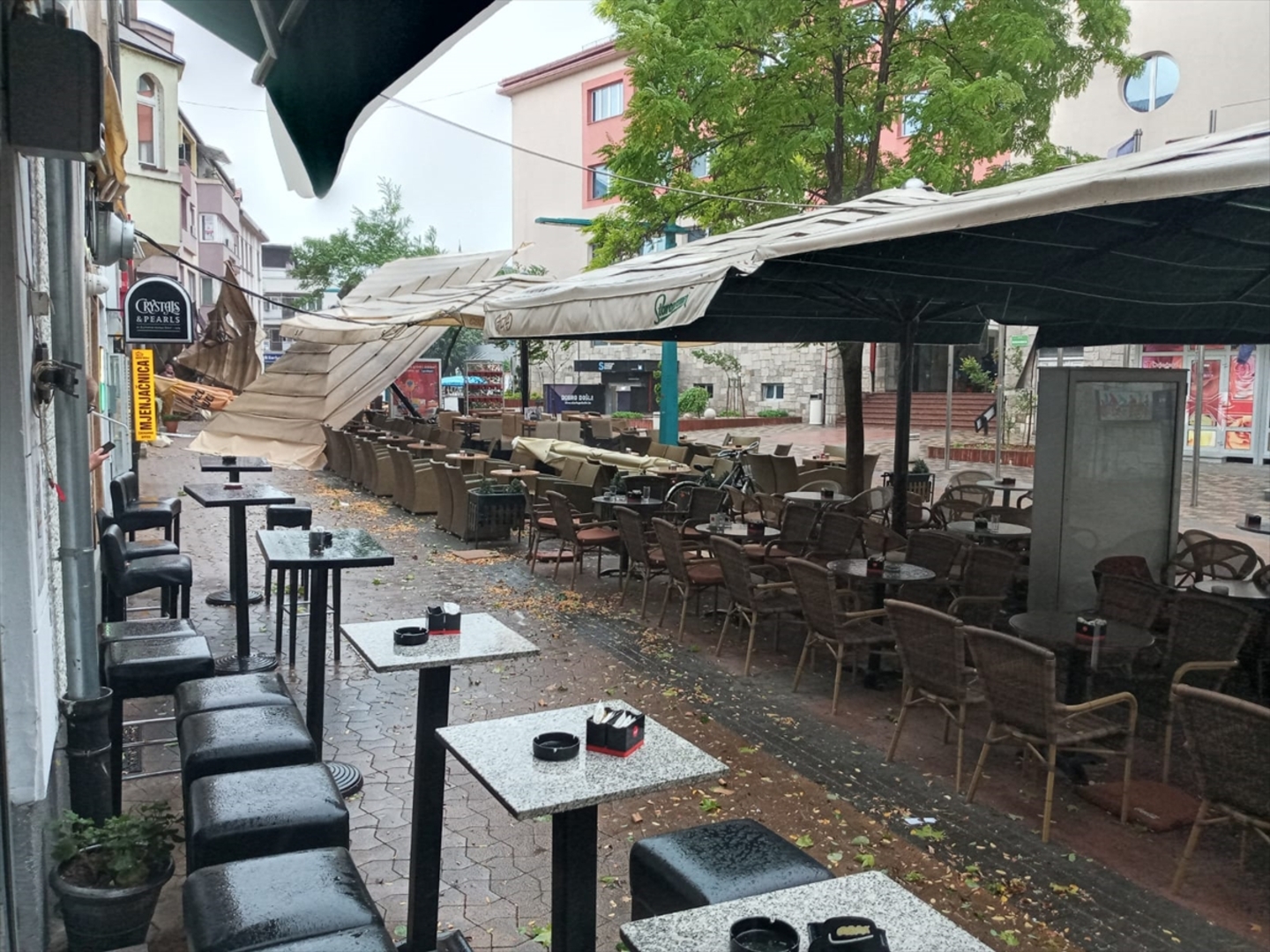 Nevrijeme pogodilo Bihać. Vjetar obarao stabla - slika 5