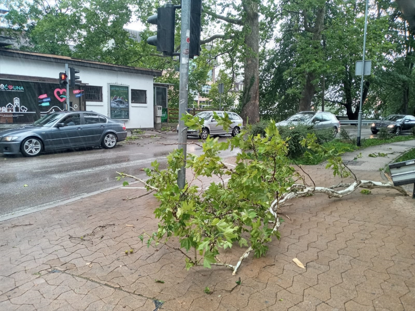 Nevrijeme pogodilo Bihać. Vjetar obarao stabla - slika 6