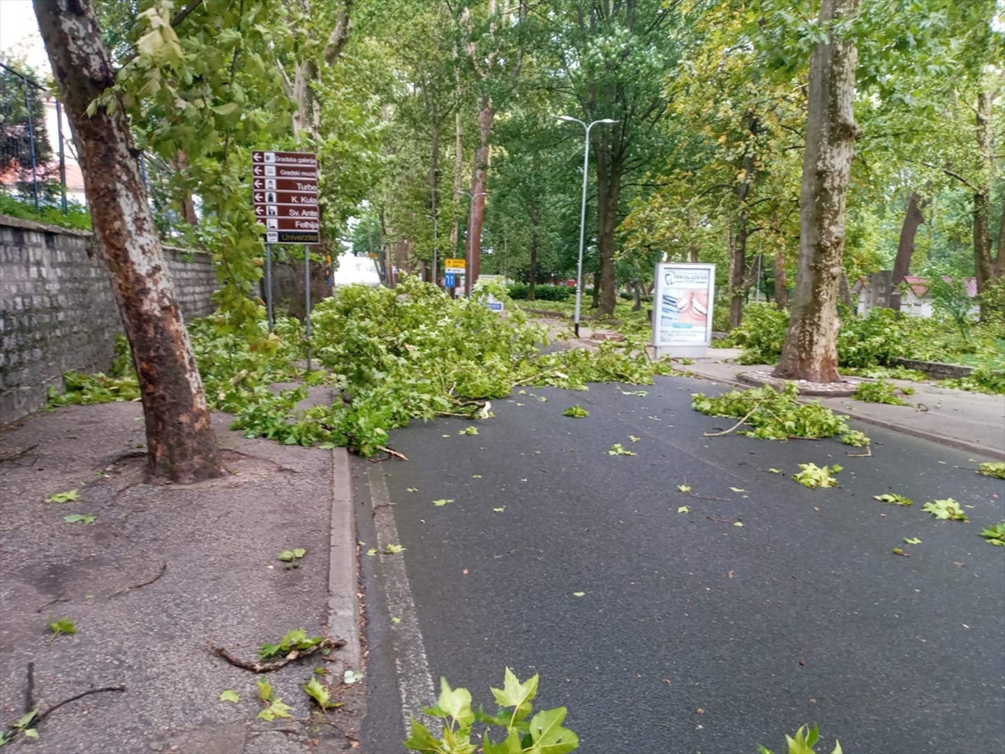 Nevrijeme pogodilo Bihać. Vjetar obarao stabla - slika 7