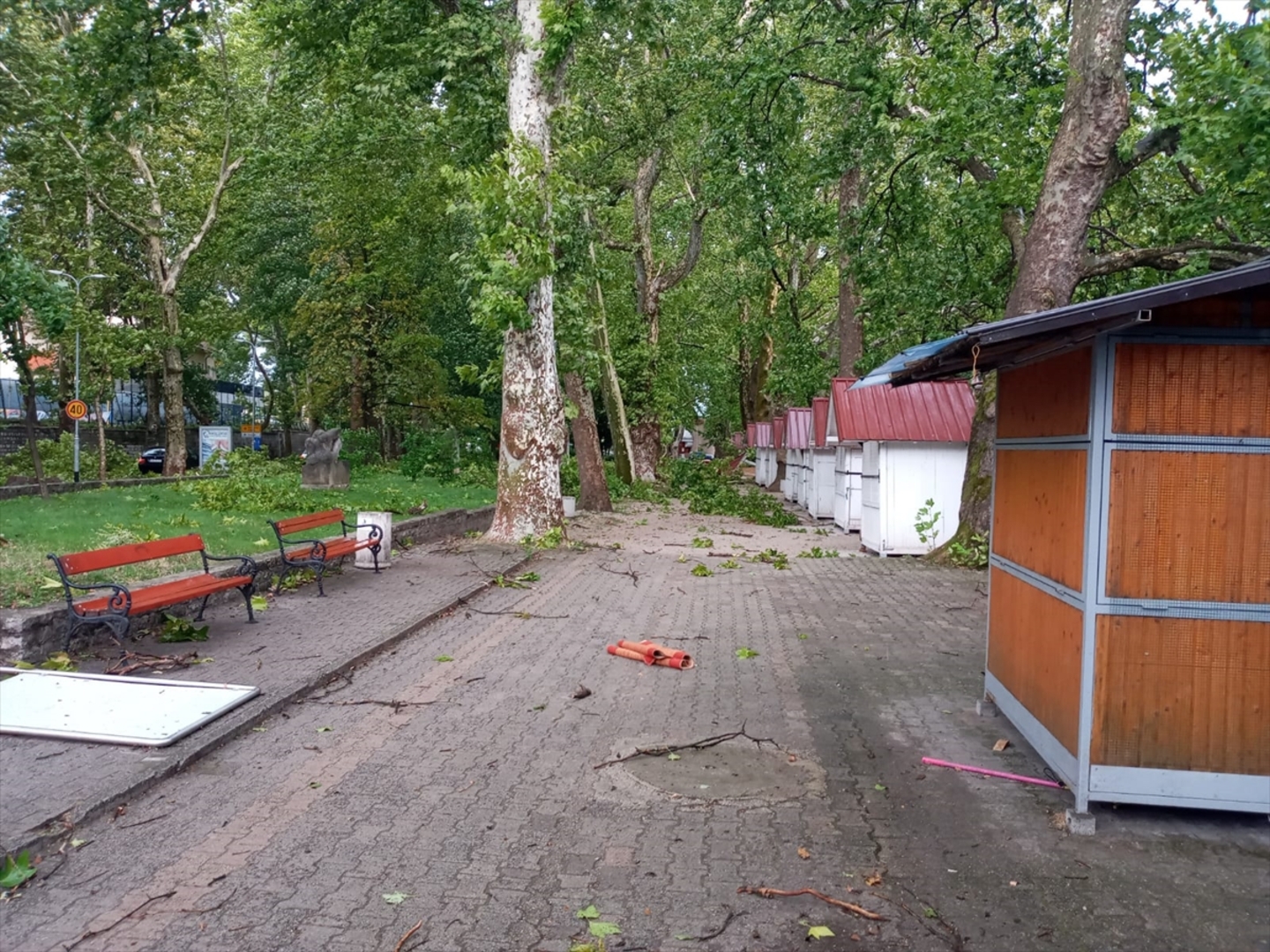 Nevrijeme pogodilo Bihać. Vjetar obarao stabla - slika 3