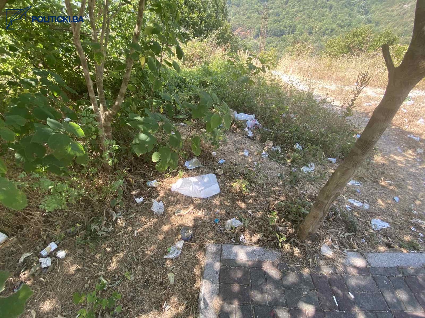 SRAMOTNO: Otpad se ne kupi, već baca u šumu - slika 3