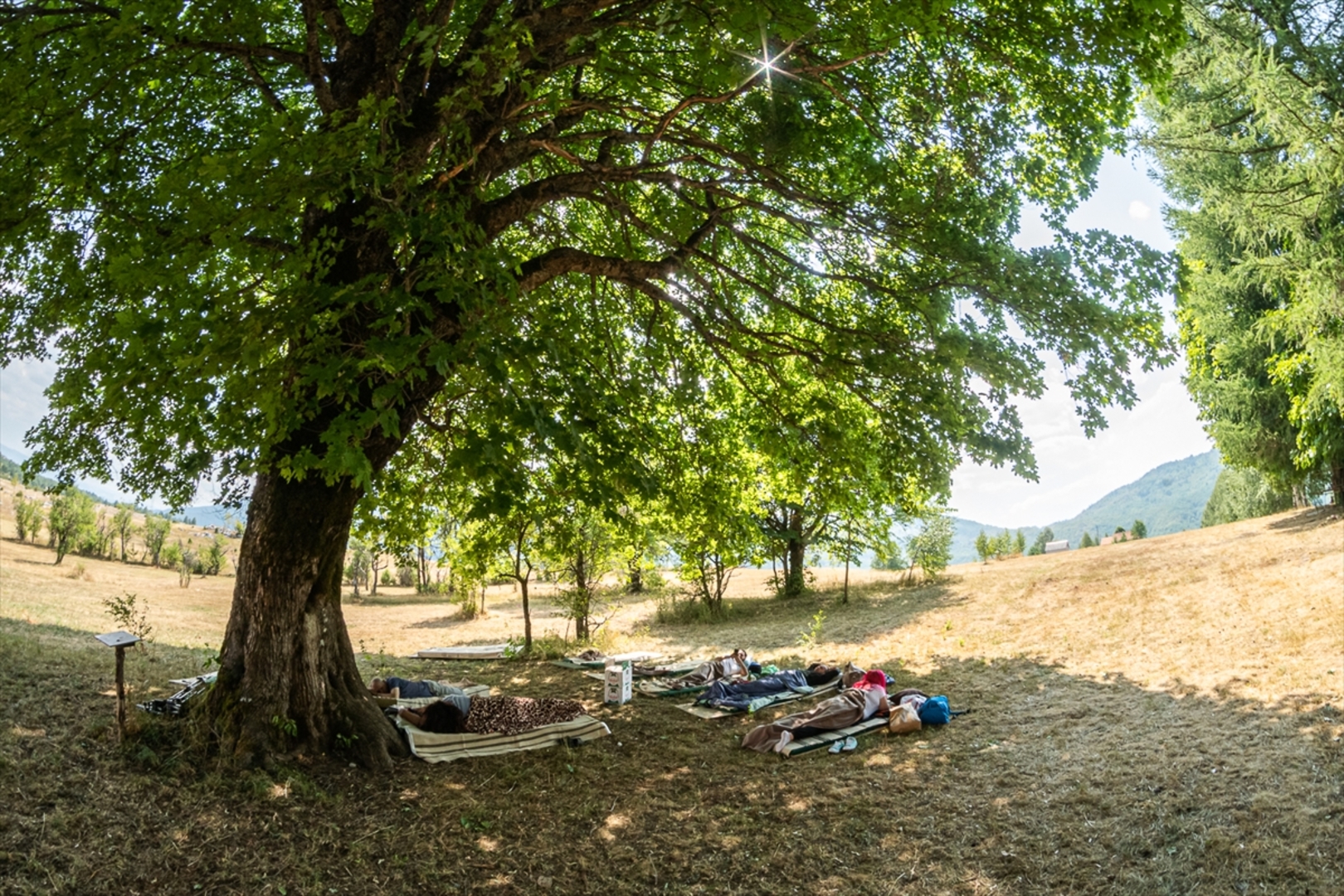Neizvjestna utrka: U Crnoj Gori počelo takmičenje u ležanju  - slika 2