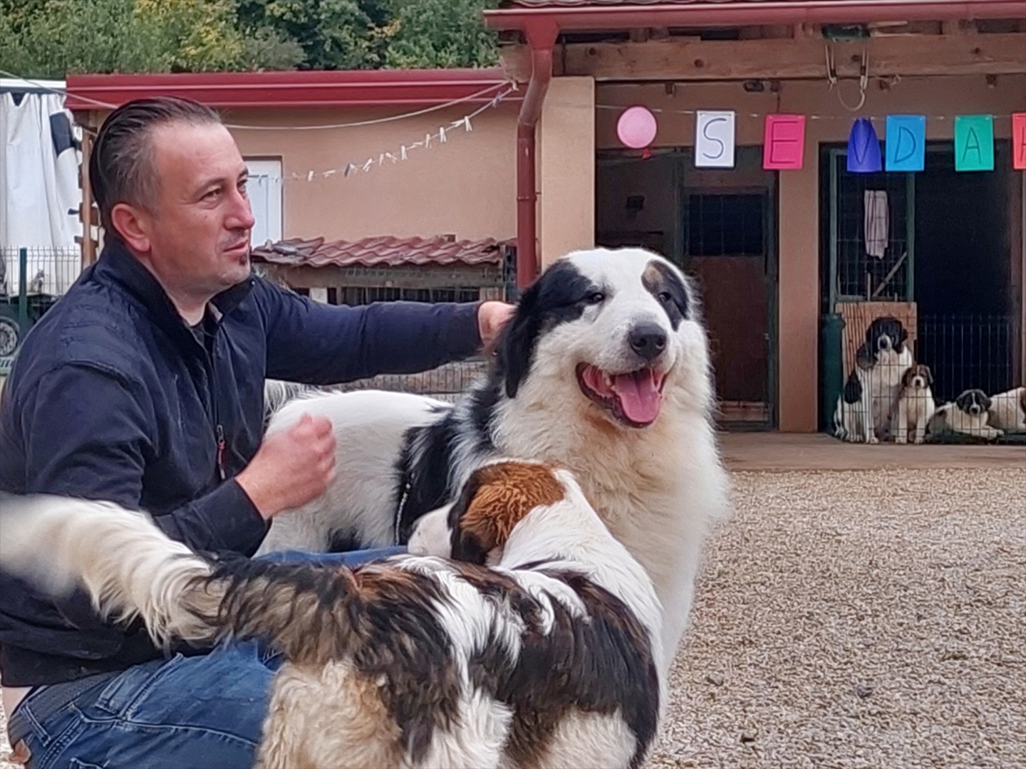 BiH: Najljepši tornjak na svijetu stigao kući u Bužim - slika 15